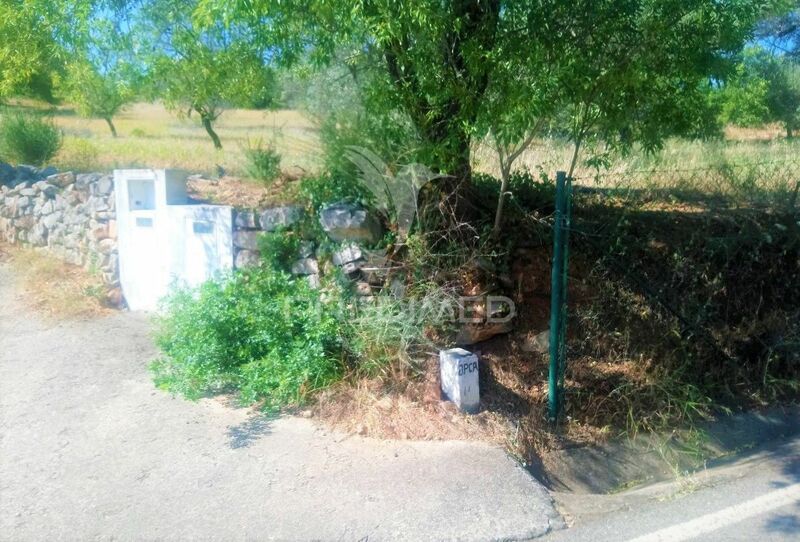Land Rustic with 6540sqm Santo Estêvão Tavira - mountain view, fruit trees, electricity, water, good access