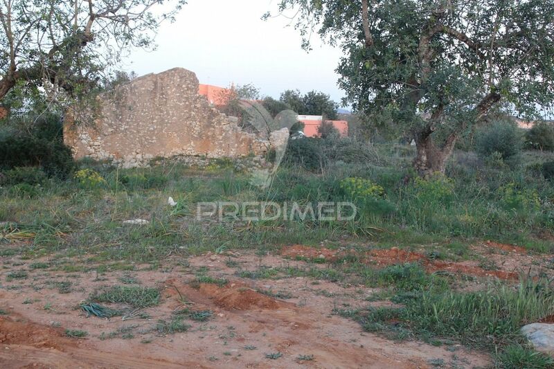 Land with 50026sqm Paderne Albufeira