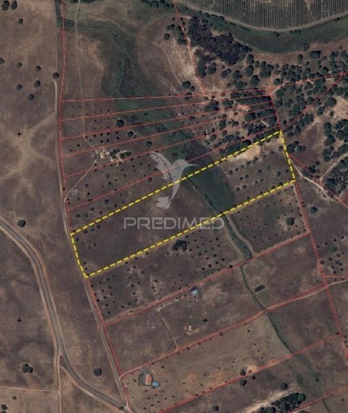 Land Agricultural with 51856sqm Ferreira do Alentejo