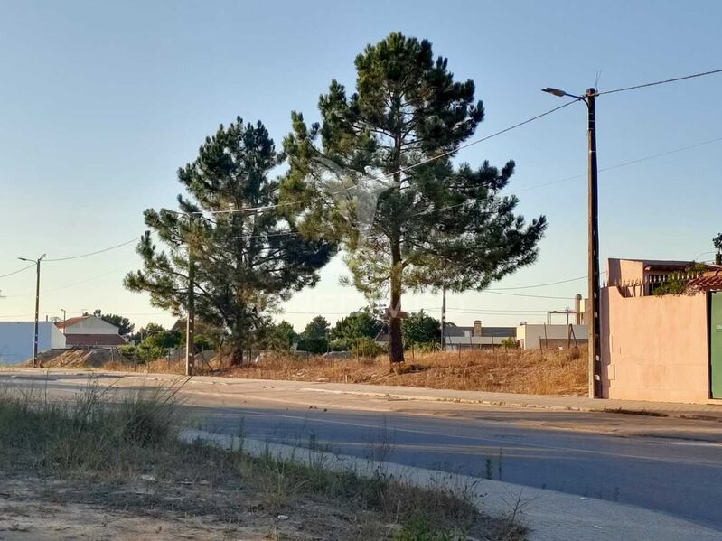 Terreno Urbano com 324m2 Quinta do Anjo Palmela - viabilidade de construção, garagem