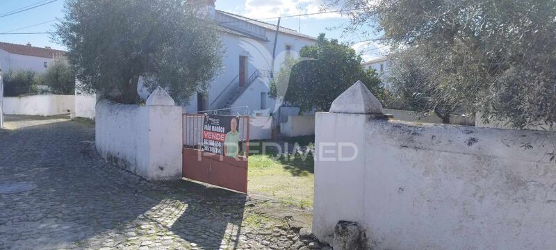 House 3 bedrooms Beirã Marvão - backyard