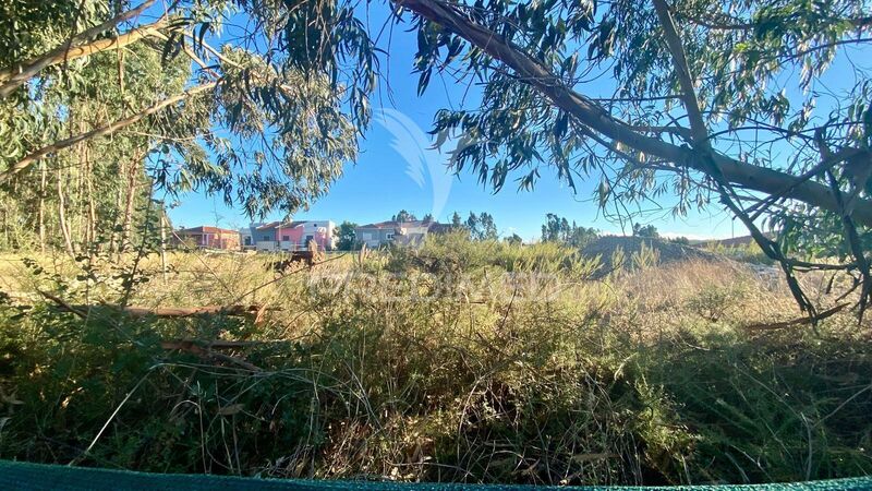 Lote de terreno novo com 382.50m2 Rio Maior