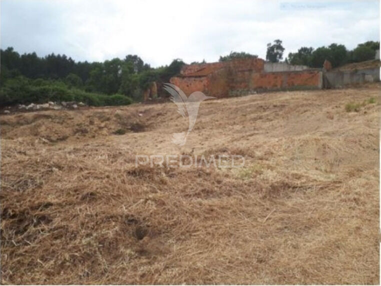 Terreno Rústico com 3200m2 Rio Maior - tanque, poço