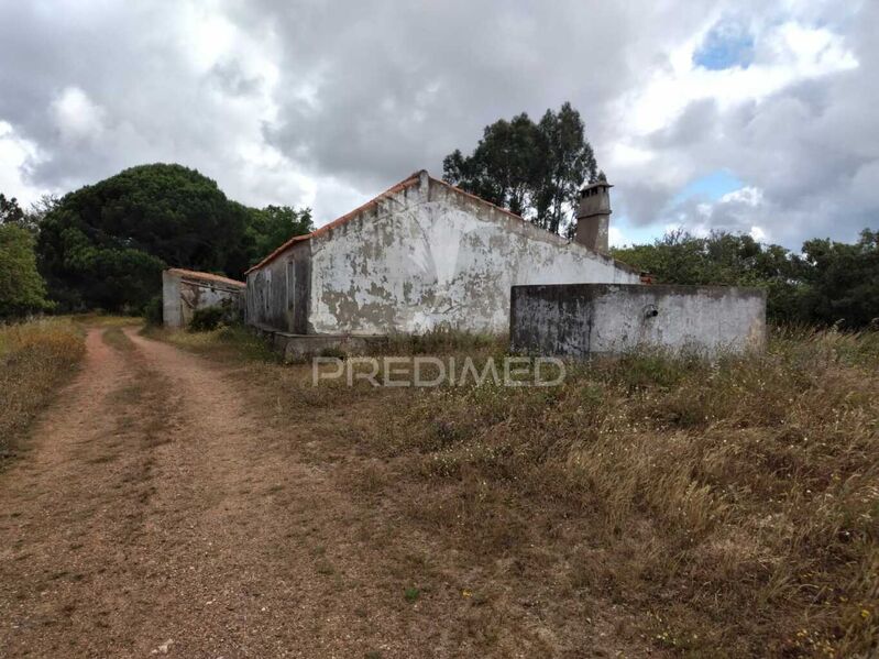 Дача/Поместье Santiago do Cacém - отличный подъезд, вода, колодец