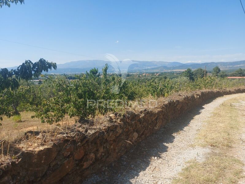 Farm Fundão - magnificent view, fruit trees