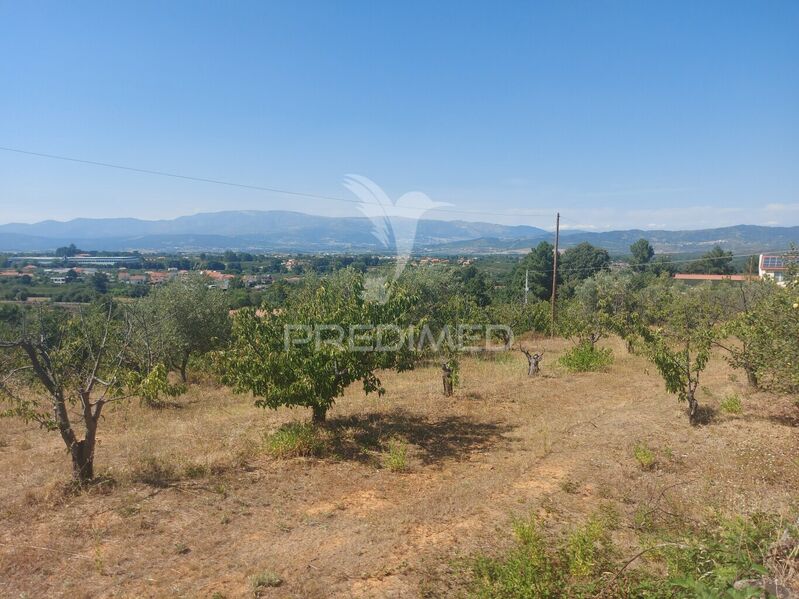 Farm Fundão - magnificent view, fruit trees