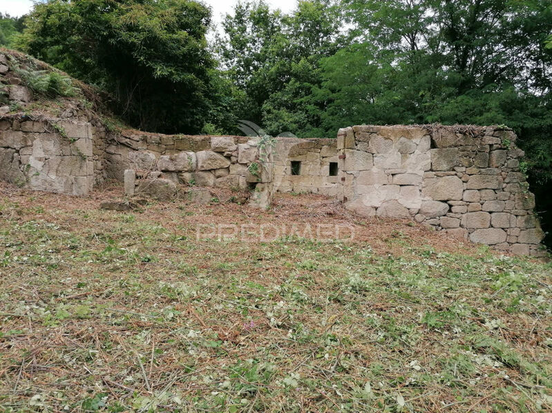 Farm V7 to recover Marco de Canaveses - water, orange trees, tank, garden