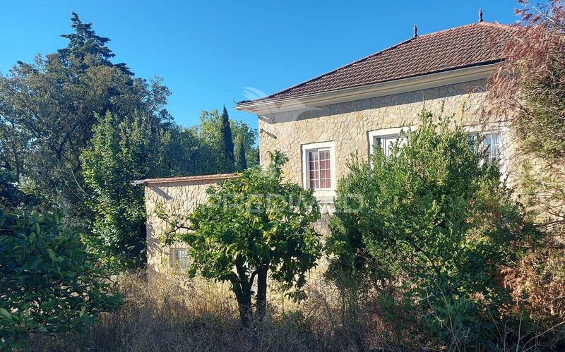 Farm 4 bedrooms with house Santarém - garage, garden, swimming pool, alarm, balcony, barbecue, equipped, solar panel, solar panel, attic, furnished, fireplace, air conditioning, water hole, automatic irrigation system, kitchen, fruit trees, automatic gate, well, good access, central heating