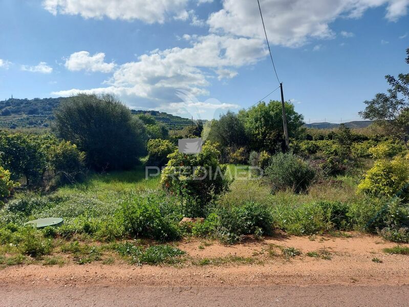 Land Agricultural with 2600sqm Silves - orange trees, well, olive trees, water, fruit trees