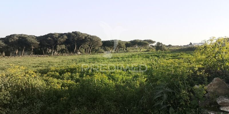 Land with 5296sqm Sintra