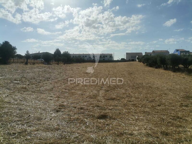 Land Rustic with 6500sqm Ciladas Vila Viçosa - water hole, olive trees, water