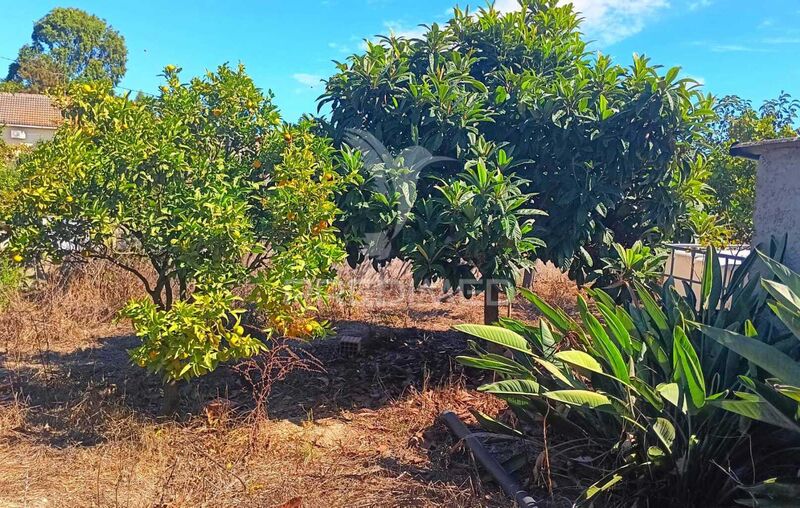 Terreno Urbano com 283m2 Almada - excelente localização, árvores de fruto, laranjeiras