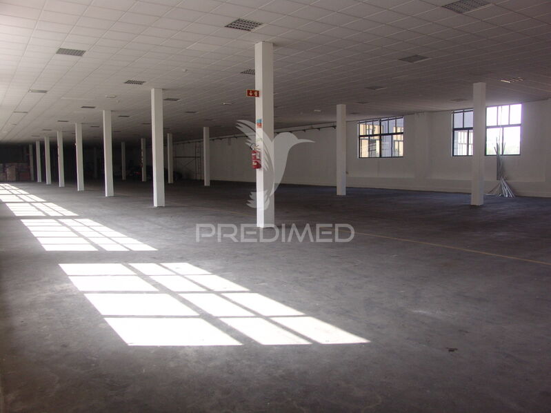 Armazém Industrial com 1620m2 Paranhos Porto - tecto falso, wc, alarme, estacionamento