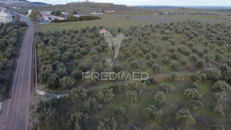 Land Agricultural with 55750sqm Elvas