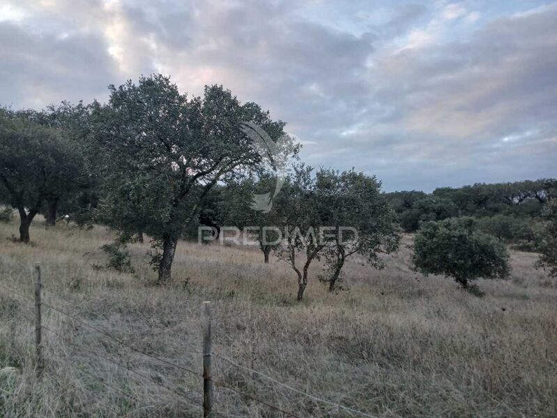 Land with 18250sqm Santo António (Capelins) Alandroal