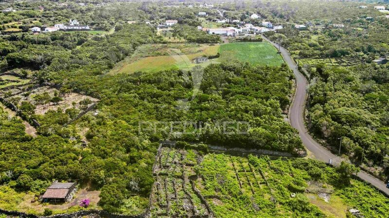 Land with 3992sqm Santo António São Roque do Pico