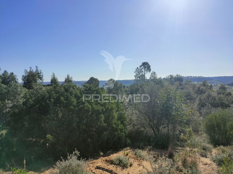 Land Rustic with 4800sqm Monsanto Alcanena