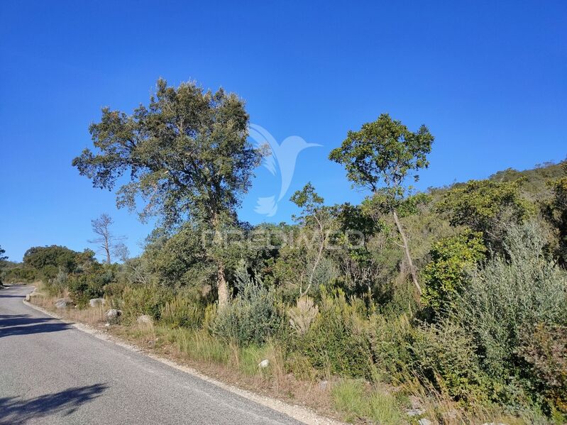 Land with 17200sqm Alcanena