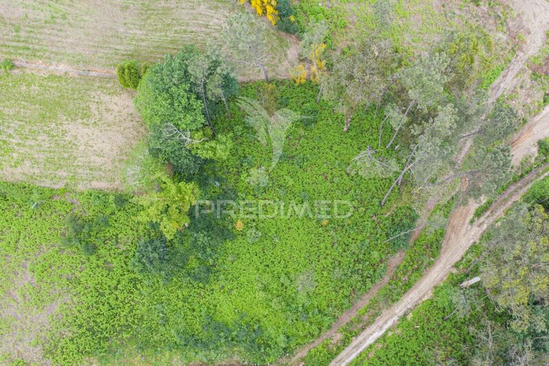 Land Rustic with 1210sqm Geme Vila Verde