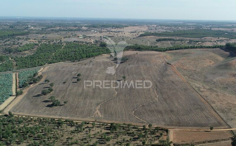 Land with 204750sqm Santiago do Cacém