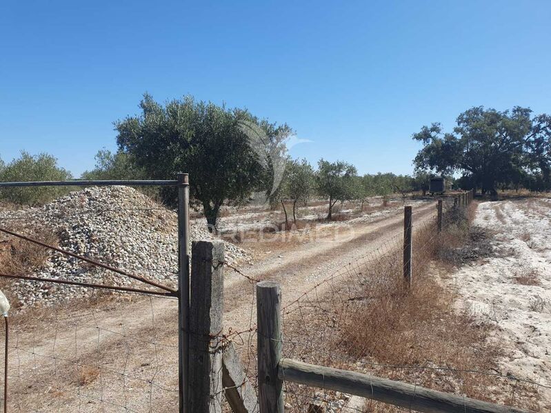 Terreno Agrícola com 18250m2 Grândola - furo, água, árvores de fruto, poço, excelente localização