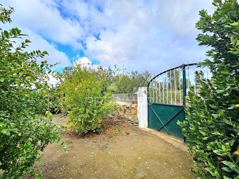 Land Urban with 964sqm Entradas Castro Verde - well, fruit trees, orange trees, olive trees