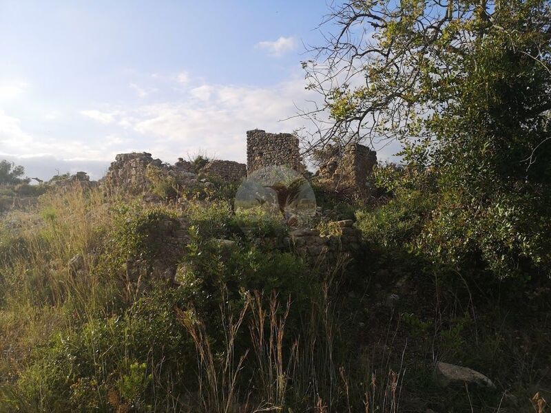Land with ruin Santa Bárbara de Nexe Faro