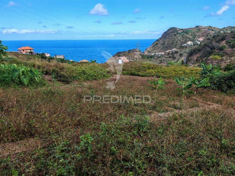 Terreno Urbano plano Porto da Cruz Machico