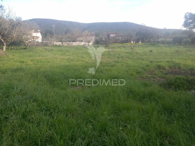 Land with 940sqm Minde Alcanena - construction viability