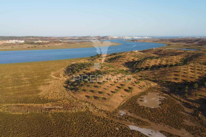 Terreno Agrícola com 3568380m2 Castro Marim