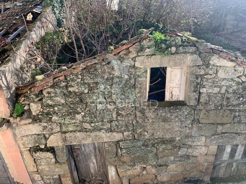 Home V2 in ruins São Mamede de Ribatua Alijó - very quiet area