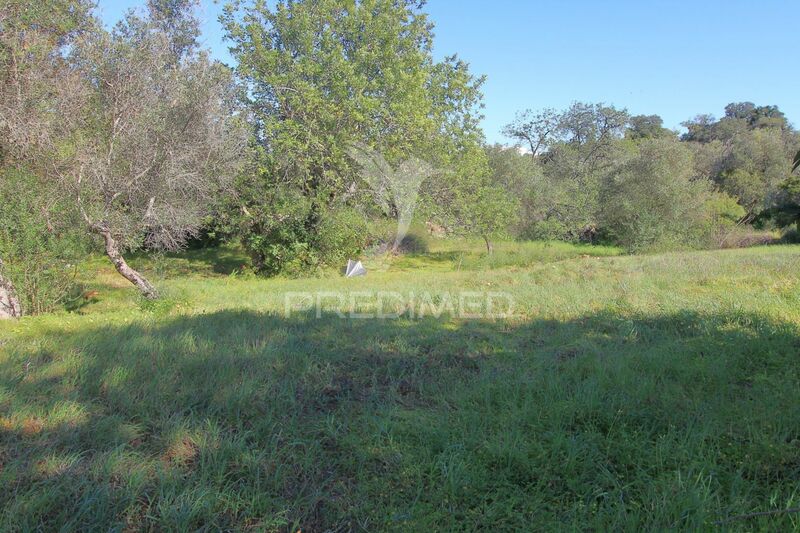 Land Urban with 1300sqm Albufeira - water, easy access, electricity
