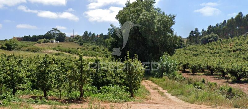 Land with 24800sqm Cadaval