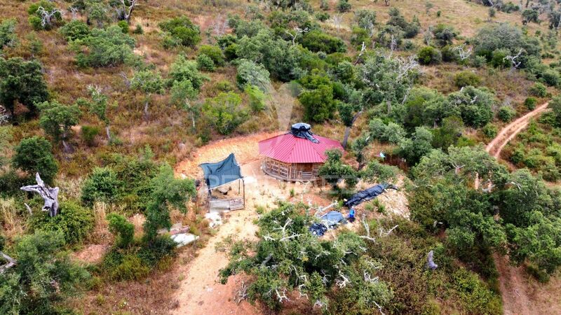 Ruine Rustic to recover Odemira - solar panels, gardens, green areas