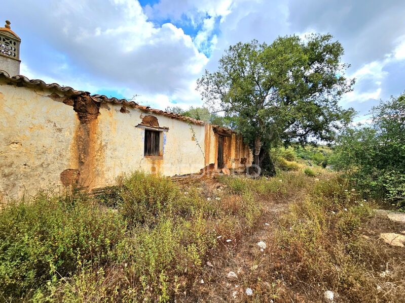 Ruine Rustic to recover Odemira - solar panels, gardens, green areas