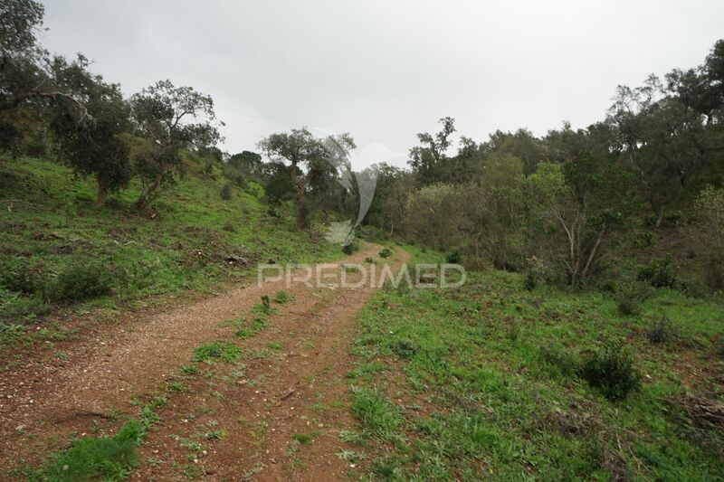 Terreno Agrícola com 87375m2 São Francisco da Serra Santiago do Cacém