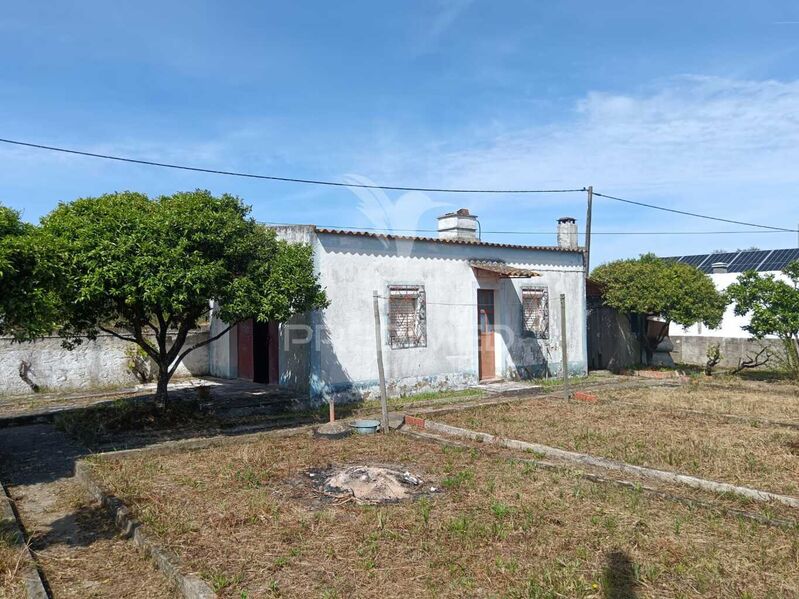 Land with 350sqm Quinta do Anjo Palmela - well, tank, water hole, water, fruit trees