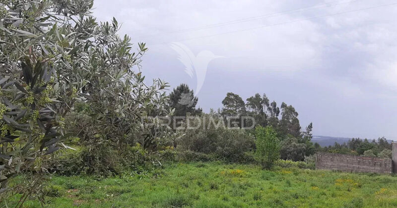 Land with 1180sqm Albergaria-a-Velha