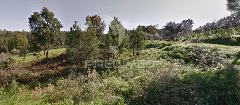 Land with 3300sqm Castelo Sertã