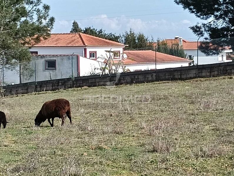 Terreno Rústico com 6200m2 Cartaxo