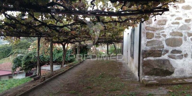Small farm 3 bedrooms Roriz Santo Tirso - tank, fireplace, electricity, barbecue, fruit trees, well