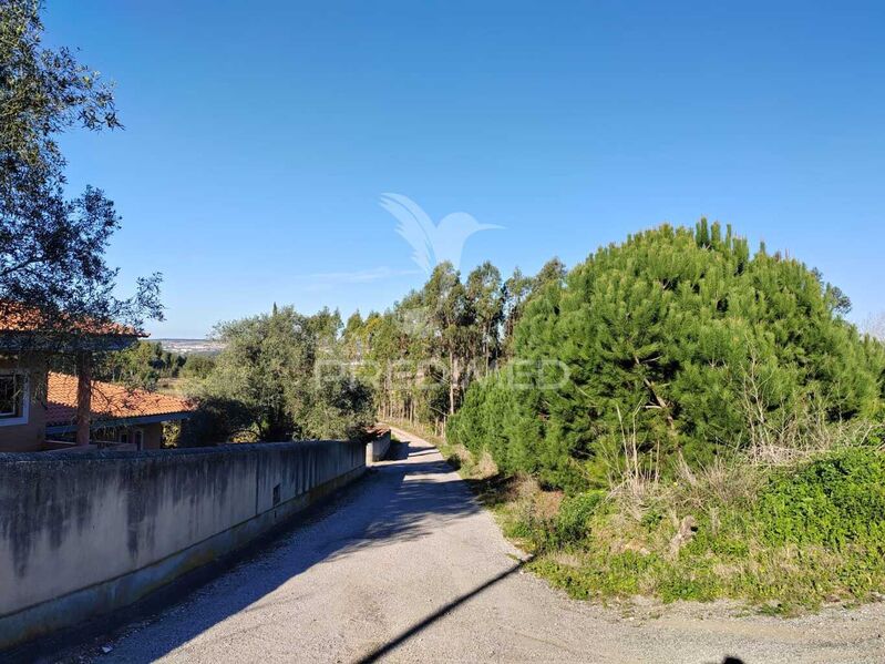 Land with 6480sqm Lourinhã