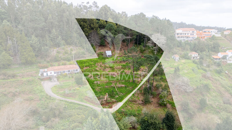 Land with 4950sqm Santo António da Serra Santa Cruz