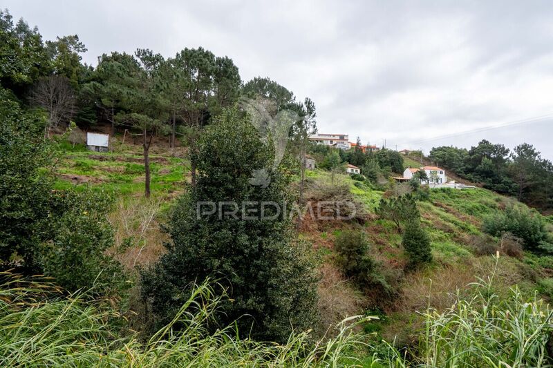 Land Rustic with 3380sqm Santo António da Serra Santa Cruz