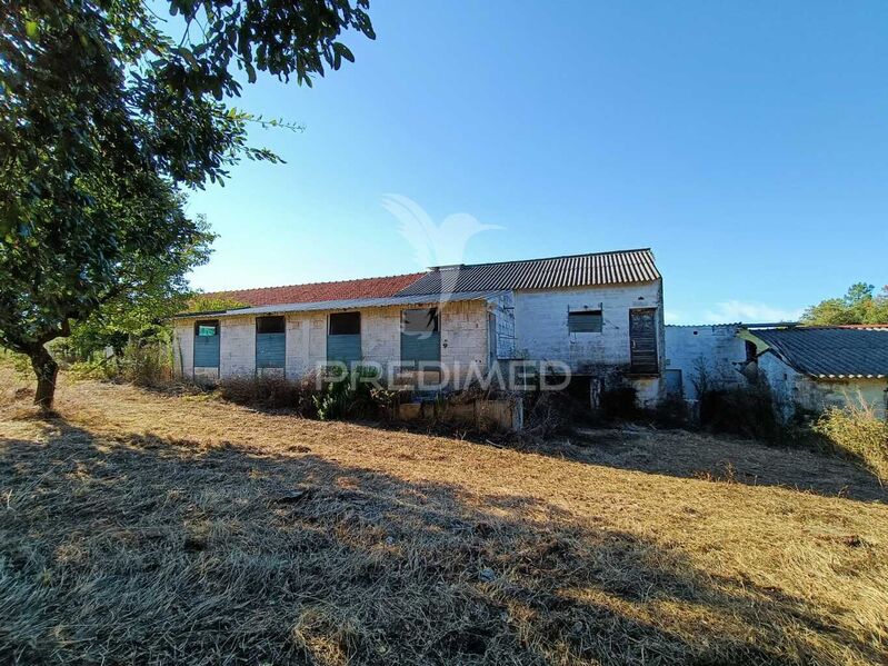 Terreno Misto com 10345m2 Nossa Senhora da Piedade Ourém - água, poço