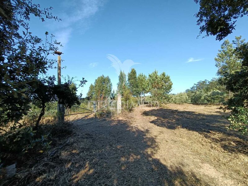 Land Urban/agricultural with 10345sqm Nossa Senhora da Piedade Ourém - water, well