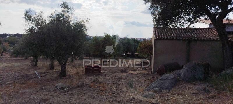 Farm Alagoa Portalegre - water, fruit trees, great location, well, orange trees, cork oaks