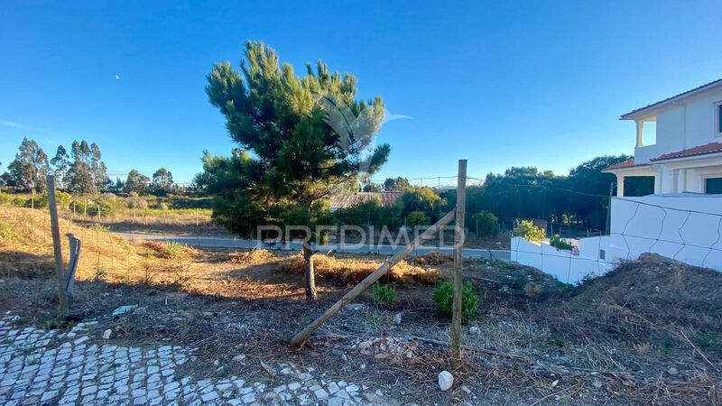 Lote de terreno novo com 368.08m2 Rio Maior