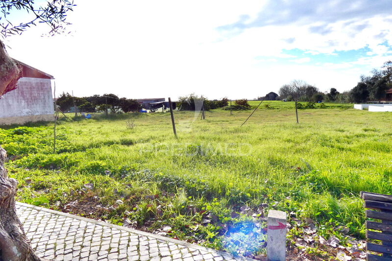 Plot with 500sqm Salvaterra de Magos