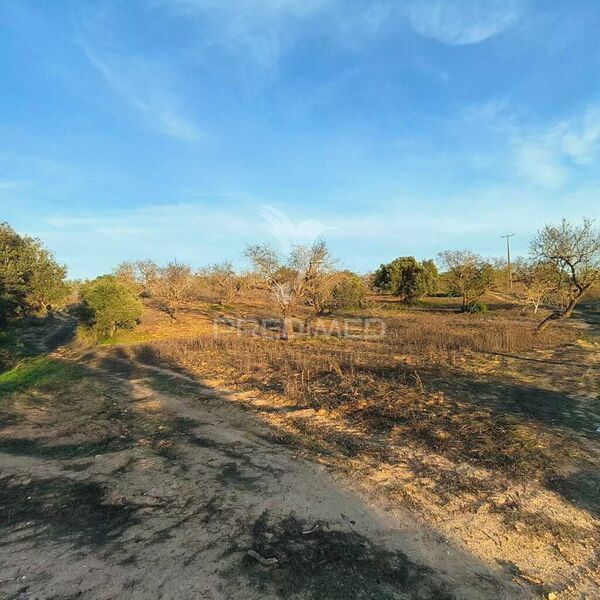 Farm Albufeira